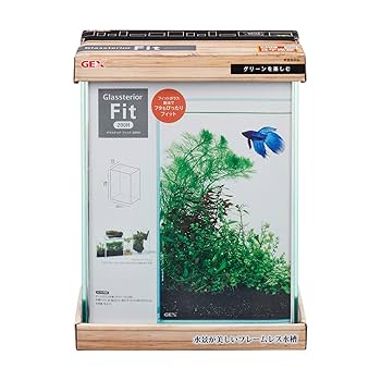 ガラス水槽 ２個セット　別売のフタ(プラスチック)付き！フレームレス ガラス水槽 2個セット 別売のフタ(プラスチック)付き！フレームレス